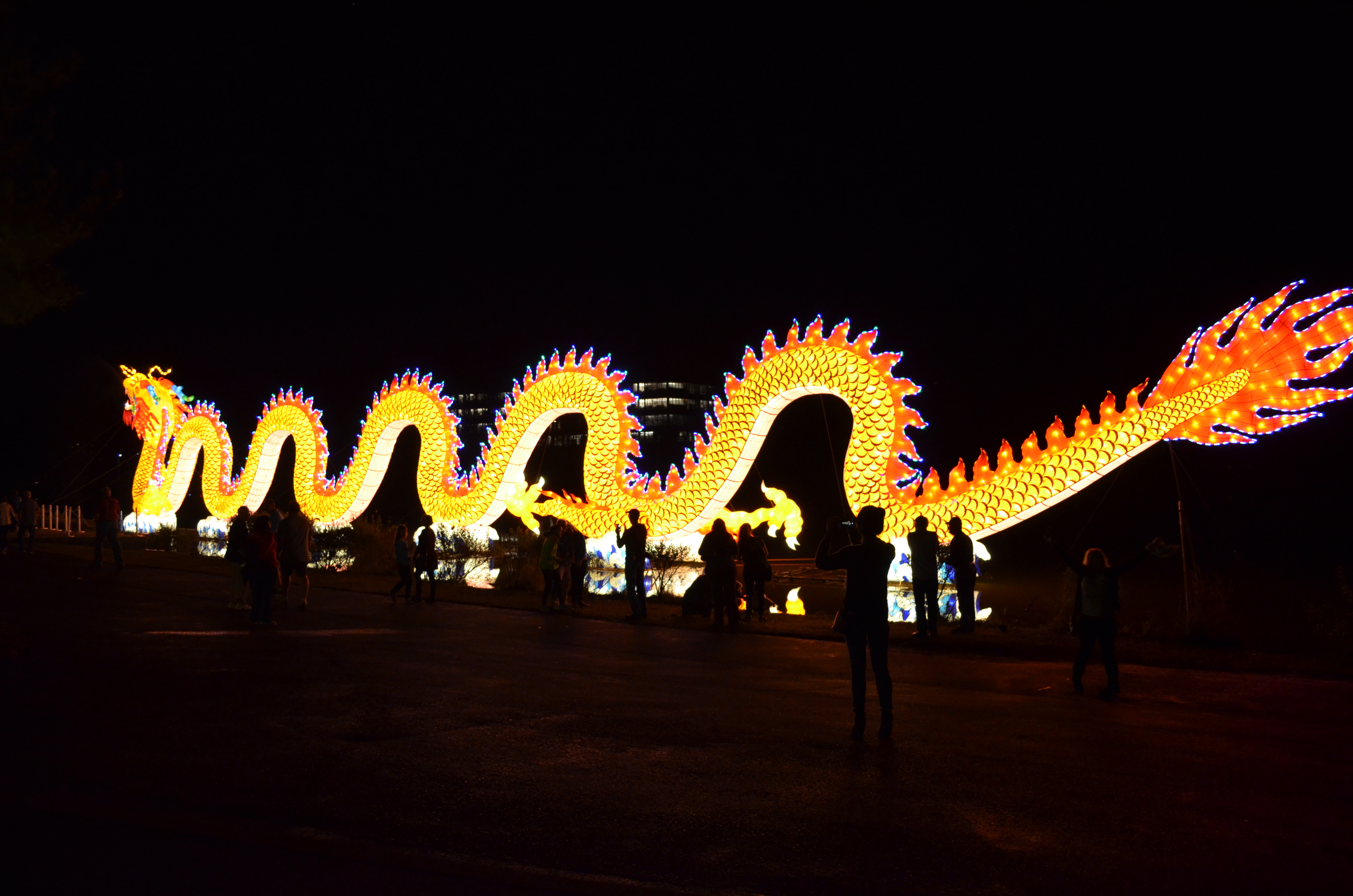 ./2015/33 - Chinese Lantern Festival/DSC_0605.JPG